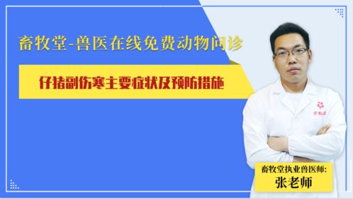 春季仔猪副伤寒，预防措施有哪些geng有效？