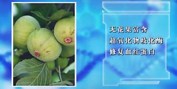 丙环唑：膨大期的小心翼翼