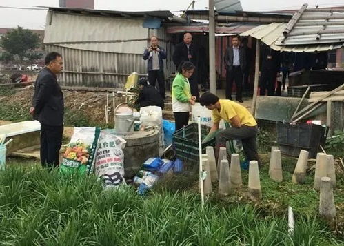 科技养猪，严控质量关