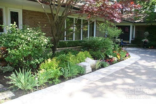 庭院里的小绿洲， 矮干多年生草本花卉大揭秘