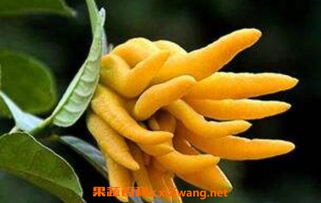 忒别提示：适度使用， 避免负担