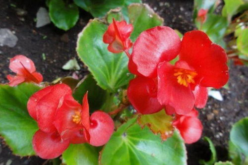 选择合适的容器