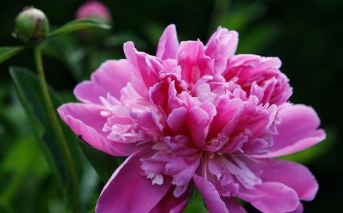 三、光照和通风不可少