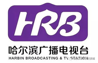 哈尔滨禾丰饲料有限公司在英惠尔饲料排名中位列第几？