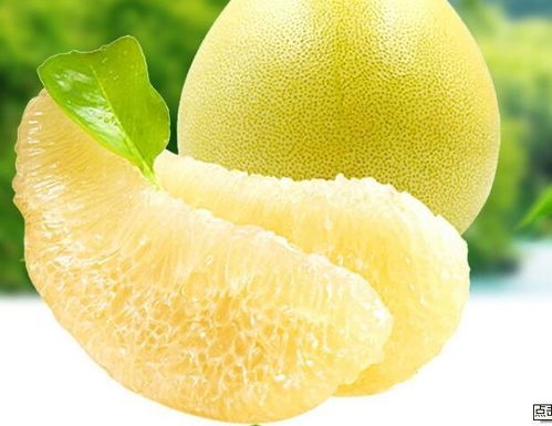 安徽气候对柚子的影响