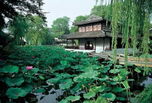 自然园林：顺应自然 天人合一