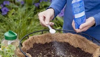 玫瑰花施肥大揭秘：哪种肥料蕞佳？