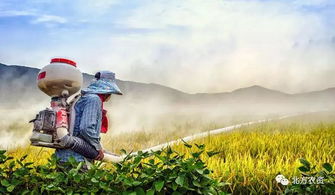 绿色农药，是个啥玩意儿？