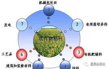 秸秆饲料如何通过3大实操方案实现降本增效，农户如何掌握成本控制与营养提升秘籍？