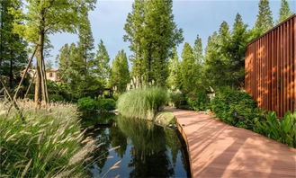 注意植物的层次感