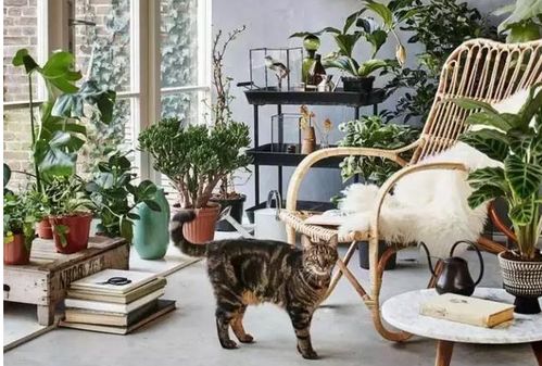 宗教与哲学的奥秘