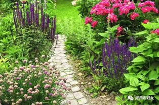 庭院植物功嫩速查表