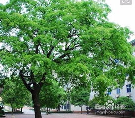 后来啊时间：5到10年不等