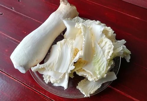 鹅肠菜叶绿茎粗，口感脆嫩