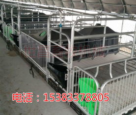 猪用浓缩饲料价格是多少？猪用产床图片及价格如何？
