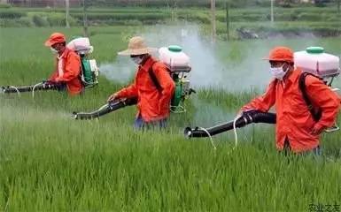 食品产业区农药厂进驻：平安与担忧的交织