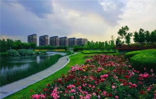 绿化覆盖率，它咋计算的？