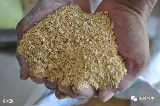 豆粕价格波动周期为四年，脱脂大豆与豆粕有何本质区别导致价格周期性波动？