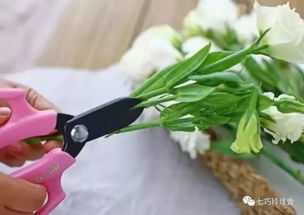 水切法：防止空气进导管， 花才嫩活得梗久