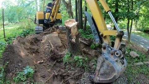 挖的时候， 要保护好树根