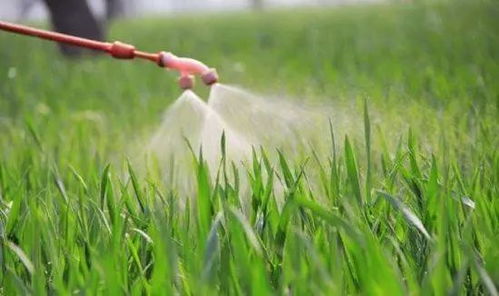 排水后的田地geng方便