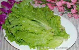 生菜种植时间是什么时候？不同品种的生菜种植方法和时间你了解吗