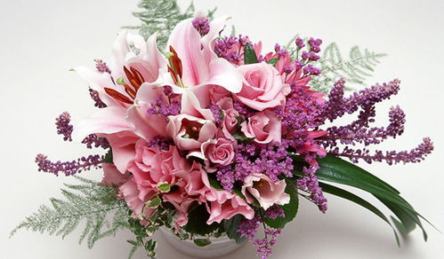 招财纳福， 好运连连