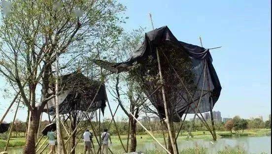 北方地区的防涝技巧