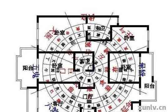 “芭蕉在风水中有何寓意？最适合摆放在家中的哪个方位