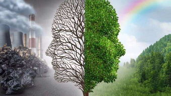 抗旱节水绝活，盐肤木的生存智慧