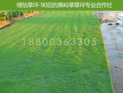 适合的草皮种类