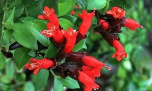 通风也要注意哦！