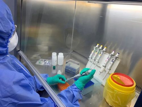 15分钟快速检测三聚氰胺，保障农业养殖安全
