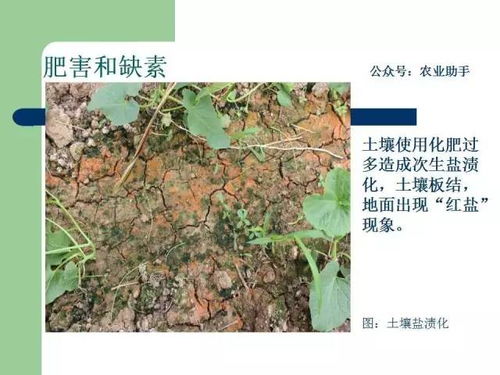 3. 注意水分管理