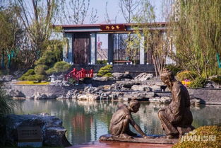 园林中的色彩魔法：黑松的搭配艺术