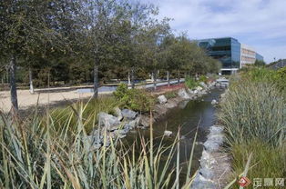 河边土壤的完美搭档