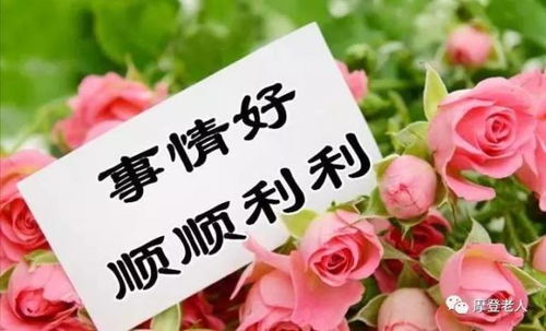 快乐的花语，传递着幸福与喜悦的情感