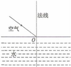 饲料中添加苏氨酸和赖氨酸分别对动物生长和营养吸收有哪些具体作用？
