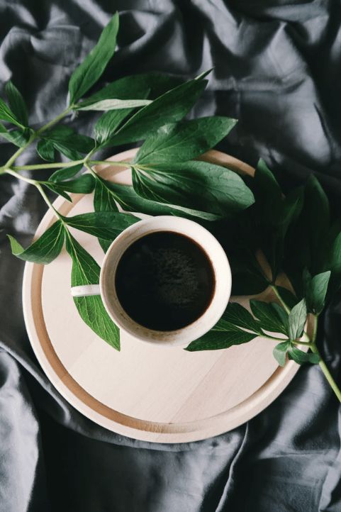 各种咖啡豆，总有一款适合你