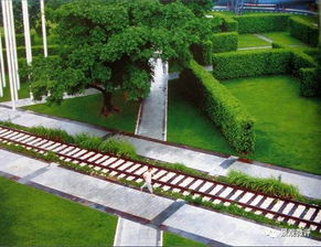 植物配置艺术：园林生态美学中的灵魂