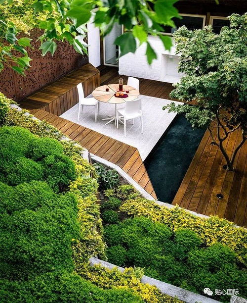 返青障碍破解方案