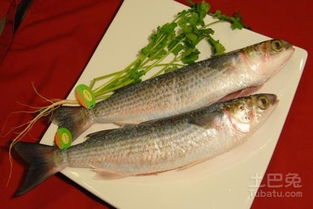普通鱼粉价格波动大，请问鱼粉饲料现在多少钱一公斤呢？