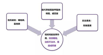 如何通过全面实施生物防治、化学防治和农业防治相结合的策略，有效解决地下害虫问题？