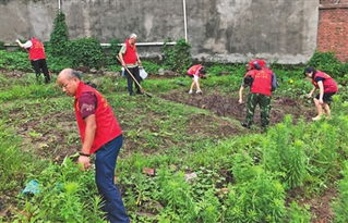 小区绿化带喷农药，平安吗？