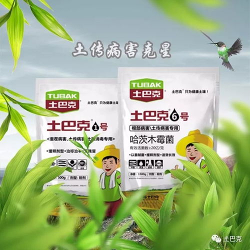 土壤是个大舞台