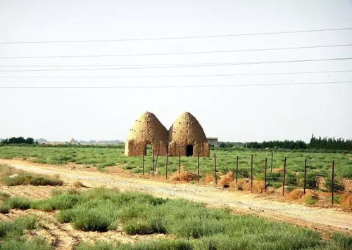 农业革命的钥匙， 就在这些