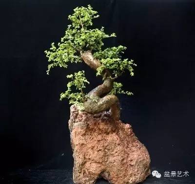 施肥不当，土壤要命