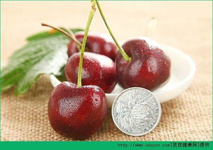 宝妈的实验， 告诉你答案