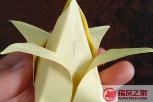 步骤四：折枝塑形