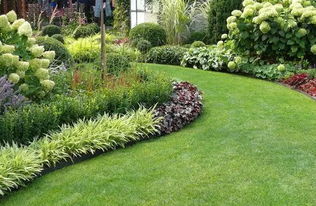 庭院里的地被植物， 美得让人心醉